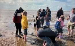 Foto 02.09.25, 11 45 11.jpg