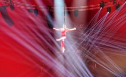 IMG_0205.JPEG