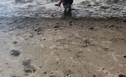 Foto 02.09.25, 11 45 36.jpg