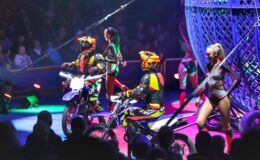 IMG_0216.JPEG